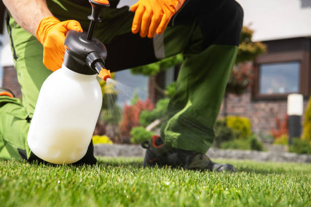 Best Local Pest Control Services  in Miramar, FL