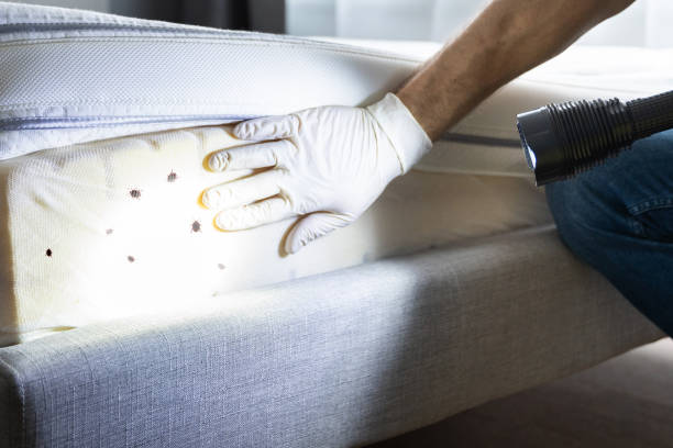 Best Pest Inspection Near Me  in Miramar, FL